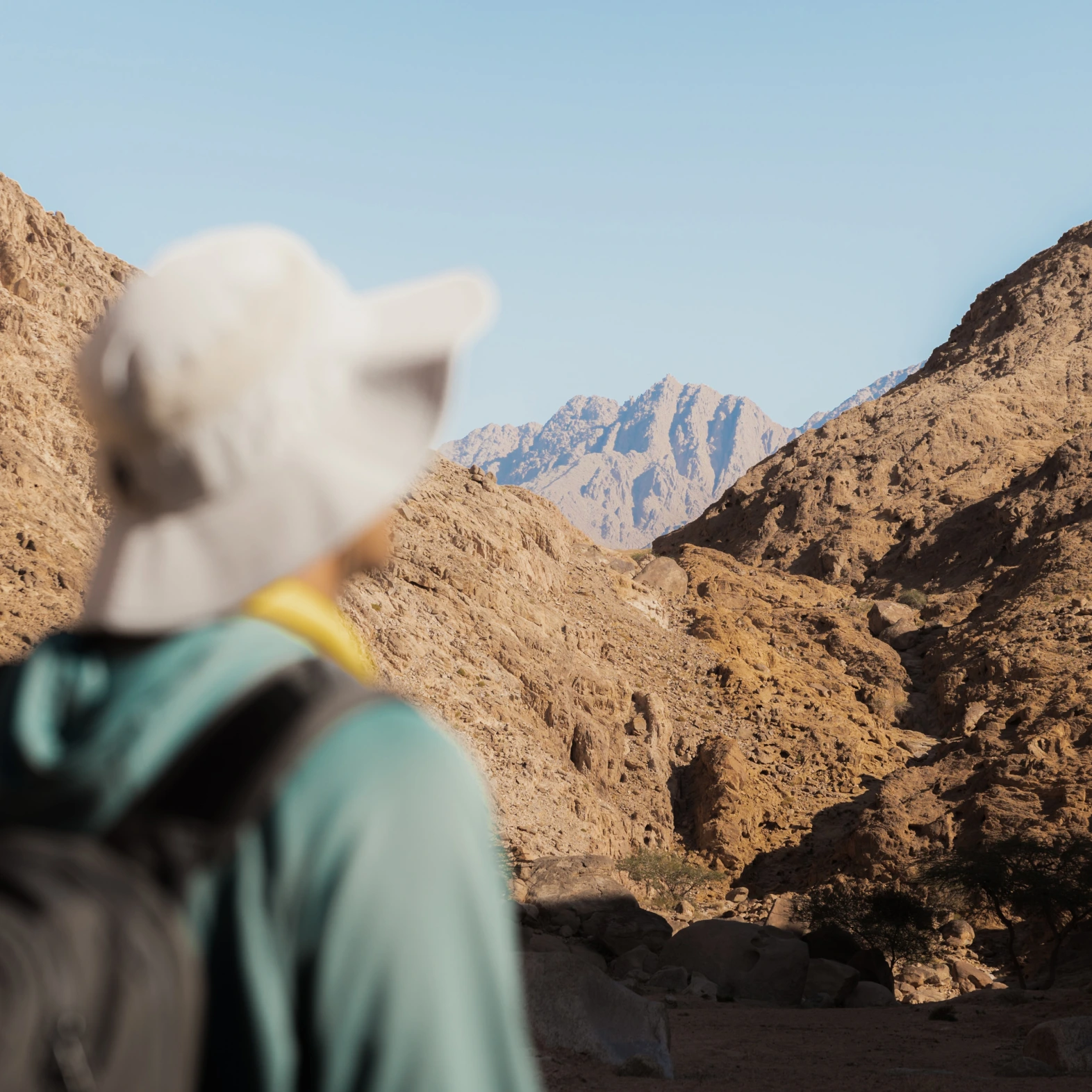 #webdesign #traniningwork #Hills